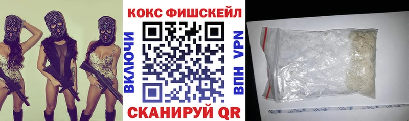 КОКАИН Fish Scale  Купить где  Гдов 