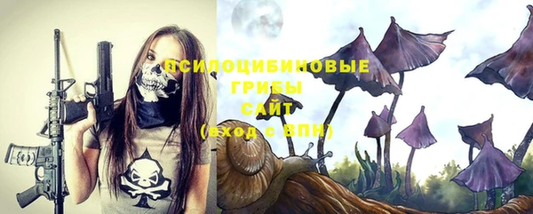 экстази Белокуриха