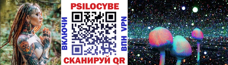 Купить где  Гдов  Галлюциногенные грибы Psilocybe 