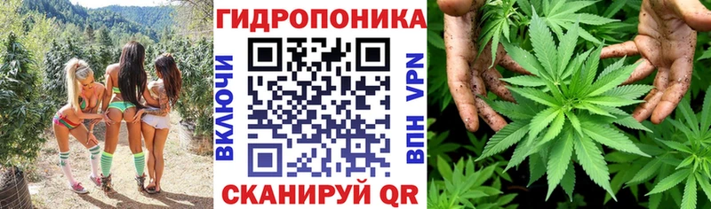 Каннабис семена Гдов