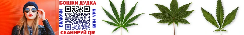 Купить где  Гдов  Шишки марихуана OG Kush 